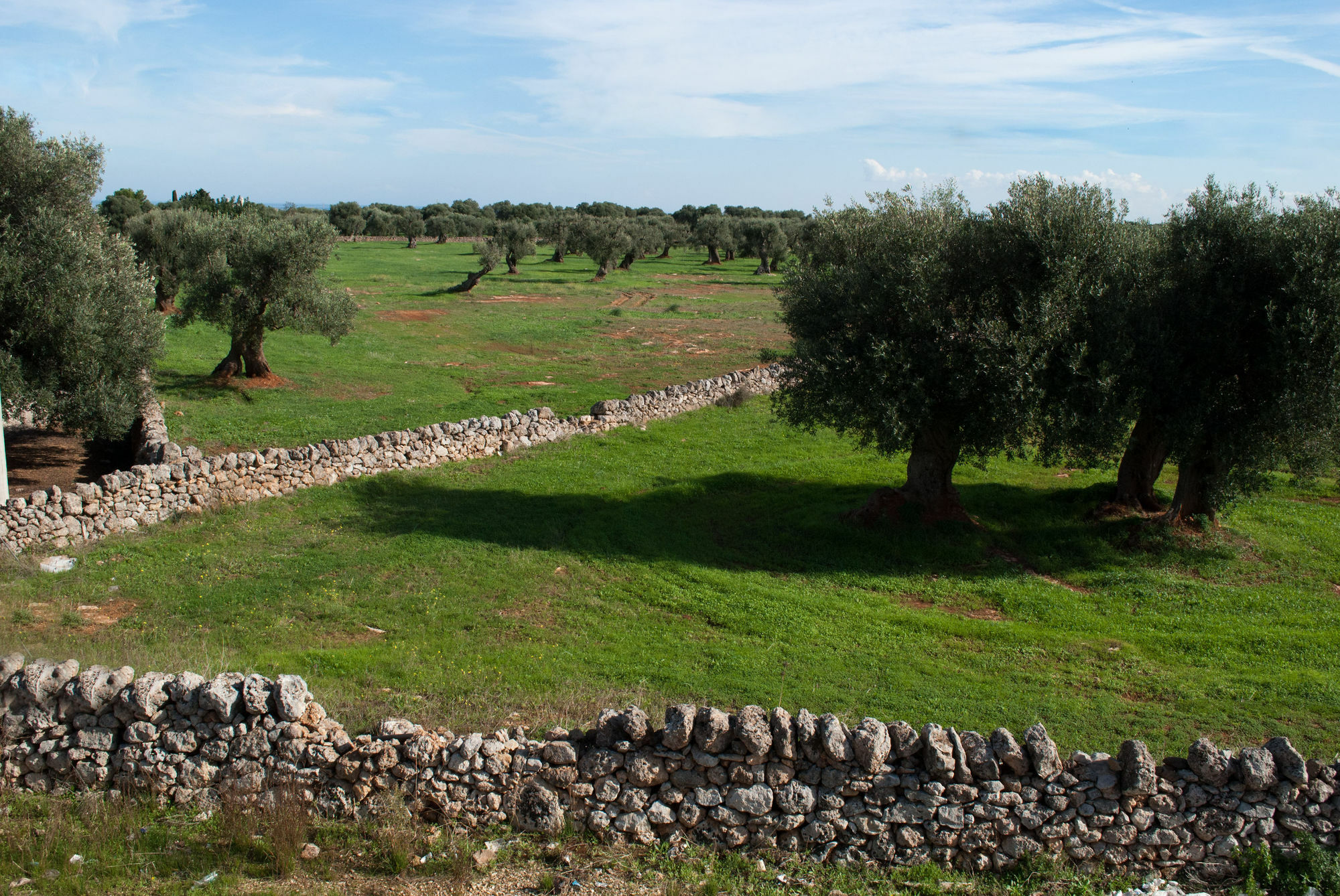 Masseria Lama D'Impisa Фазано Екстер'єр фото
